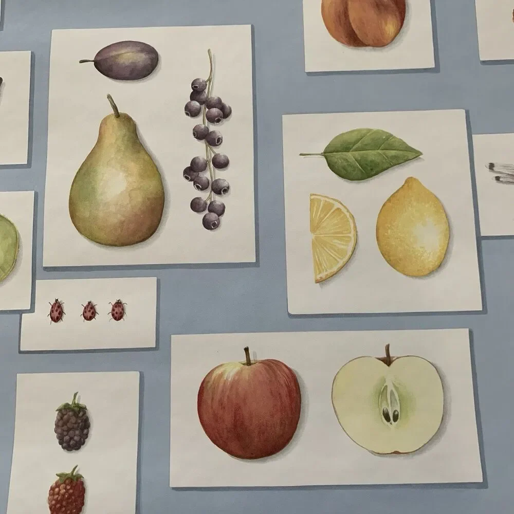 Vintage Kitchen Wallpaper 80s Look Fruit Apples Strawberries Pears Oranges More